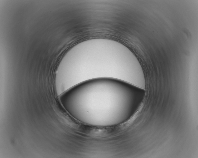 X0000111370174200907101024