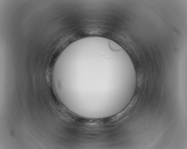 X0000111370175200907101024