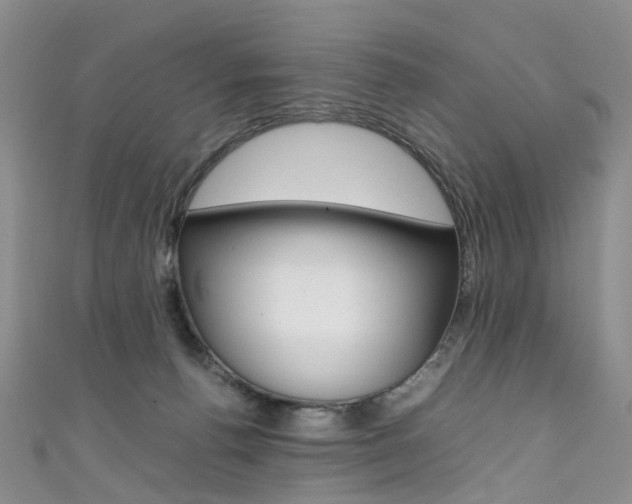 X0000111370176200907101024