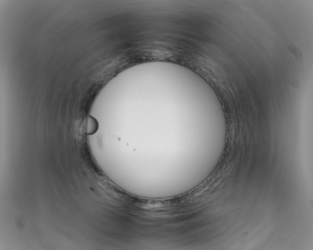 X0000111370177200907101024