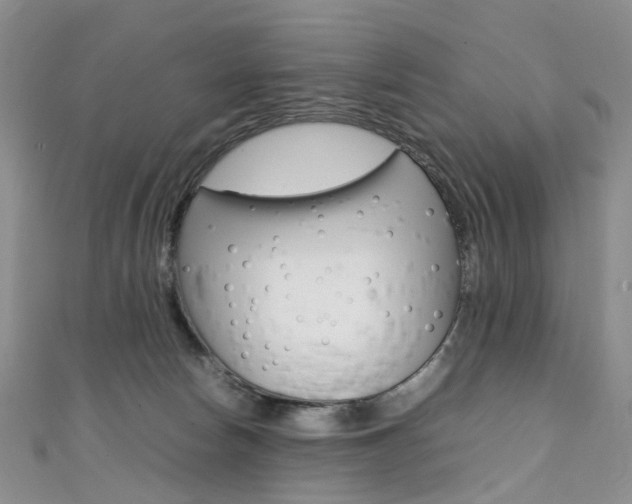 X0000111370178200907101024