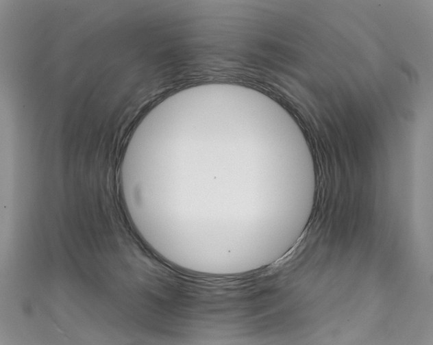X0000111370180200907101024
