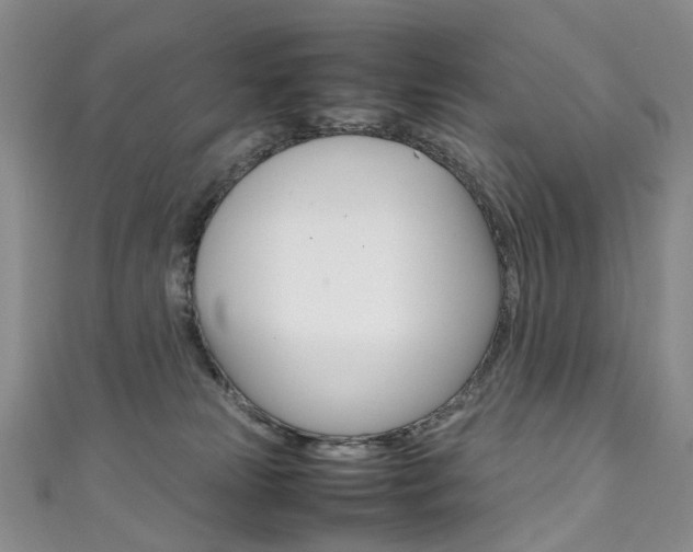 X0000111370181200907101024