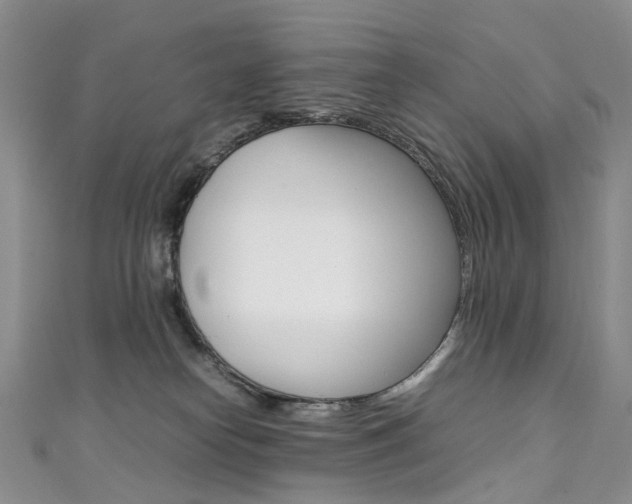 X0000111370182200907101025