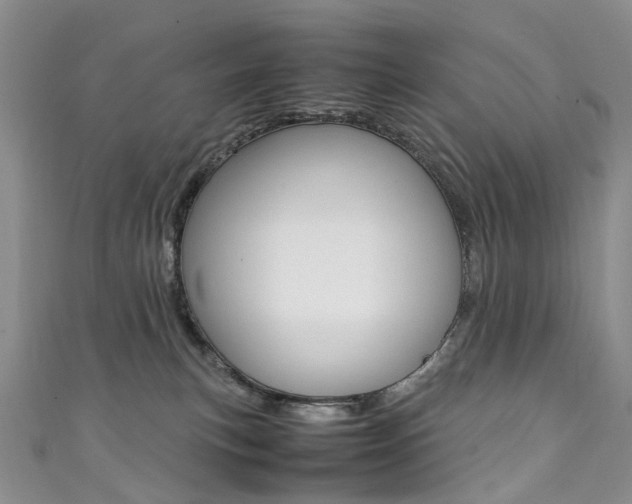 X0000111370183200907101025