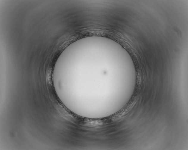 X0000111370185200907101025