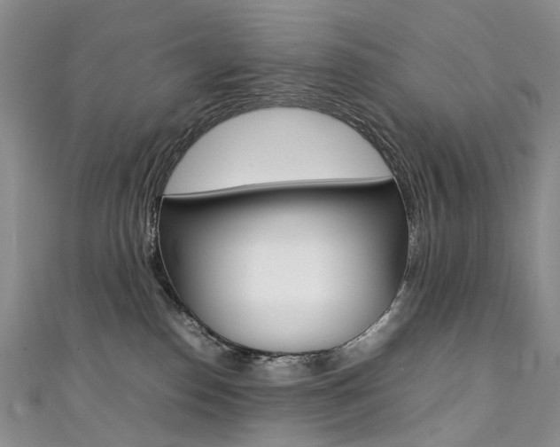 X0000111370186200907101025