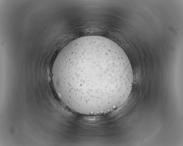 X0000111370187200907101025