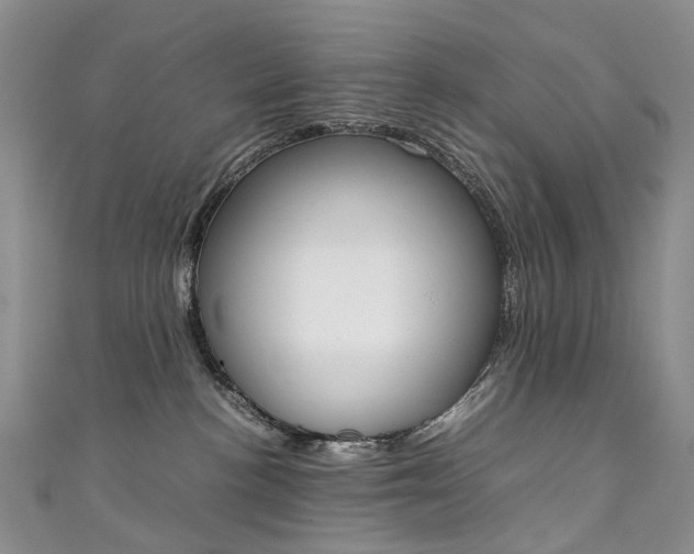 X0000111370188200907101025