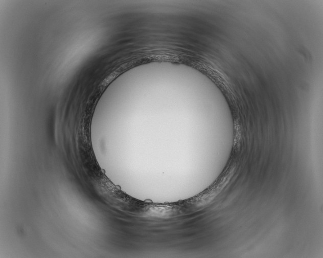 X0000111370189200907101025