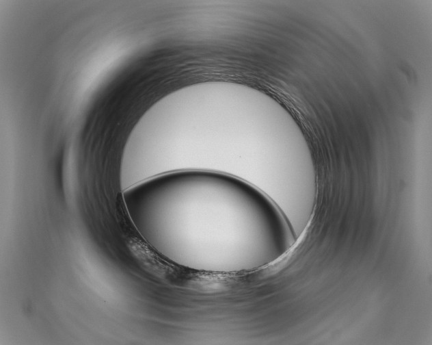 X0000111370190200907101025