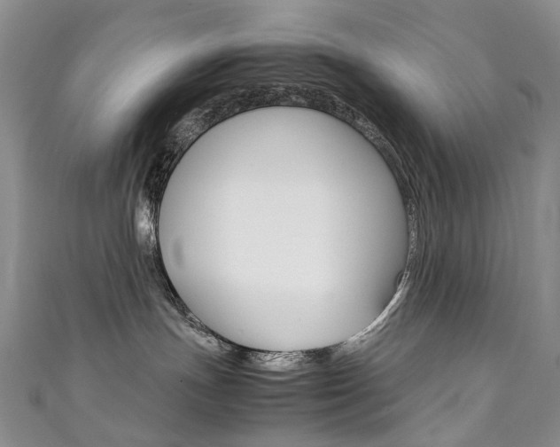 X0000111370191200907101025