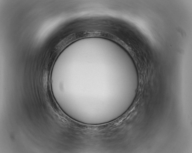 X0000111370194200907101024