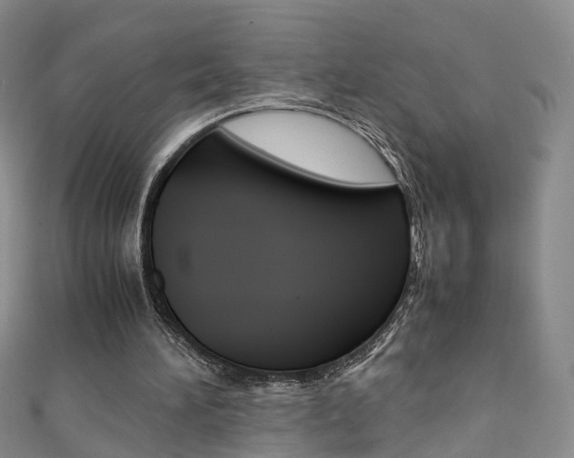 X0000111370196200907101024