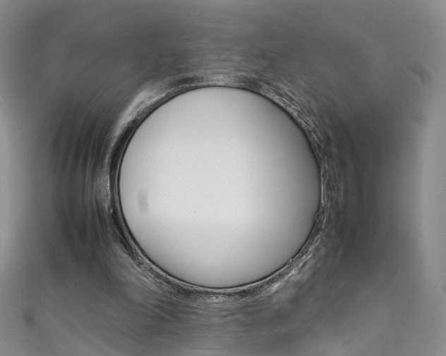 X0000111370198200907101024