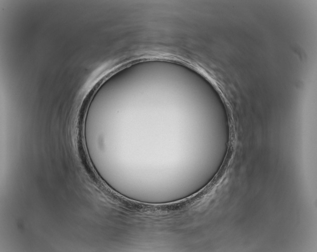 X0000111370199200907101024