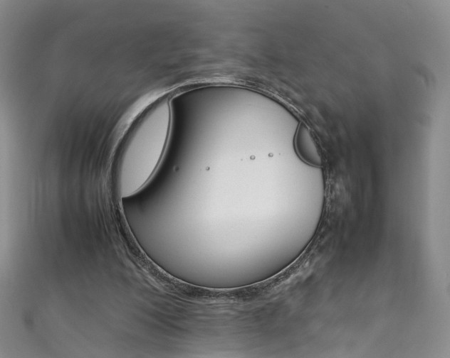 X0000111370200200907101024