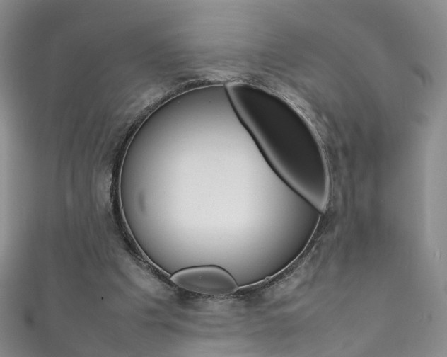 X0000111370201200907101024