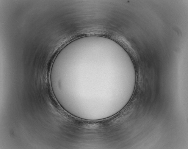 X0000111370202200907101024