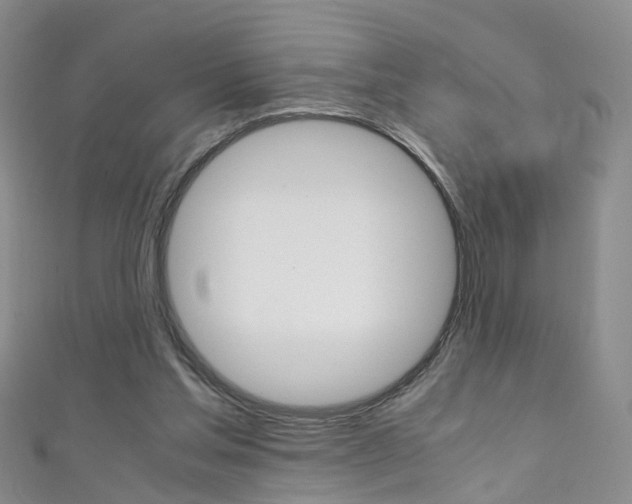 X0000111370205200907101024