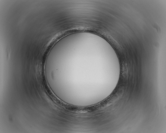 X0000111370208200907101024