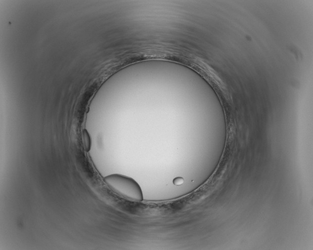 X0000111370209200907101024