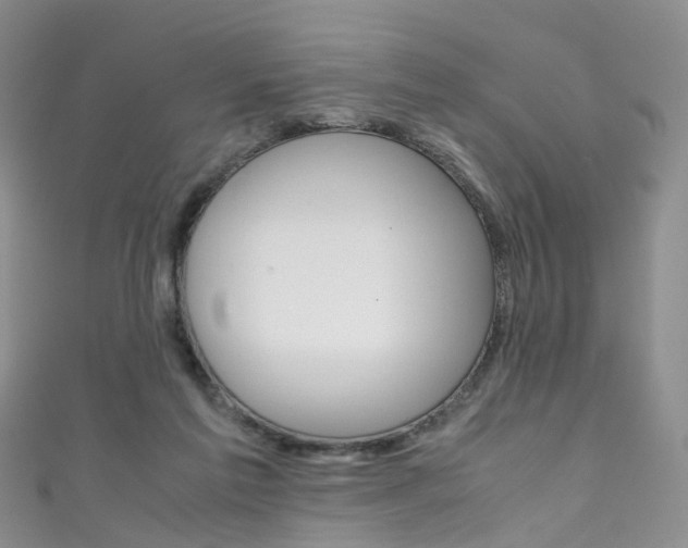 X0000111370213200907101024
