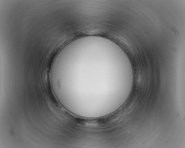 X0000111370214200907101024