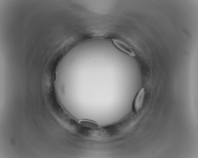 X0000111370215200907101024