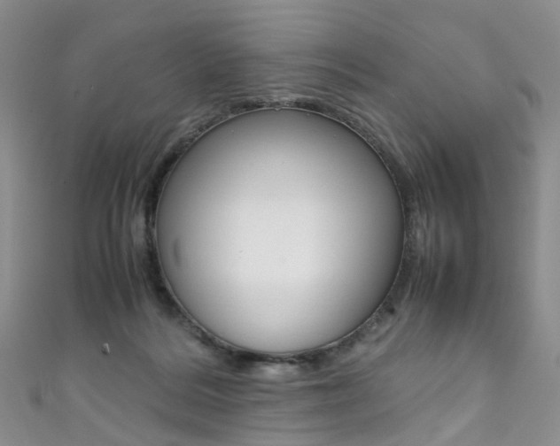 X0000111370220200907101023