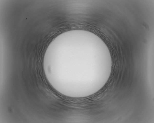 X0000111370223200907101023