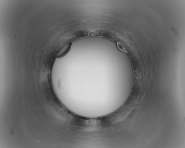 X0000111370225200907101023