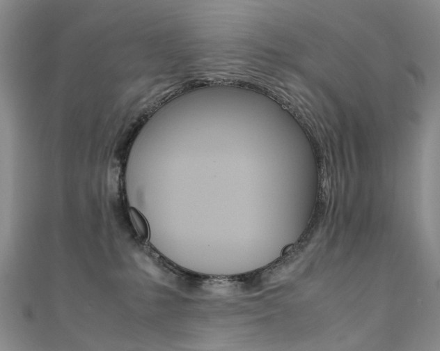 X0000111370231200907101023