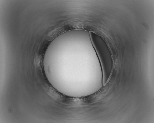 X0000111370233200907101023