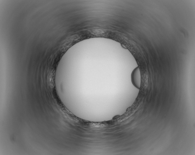 X0000111370234200907101023
