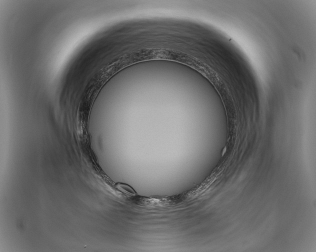 X0000111370239200907101023