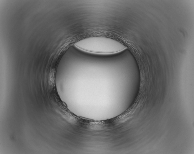 X0000111370240200907101023