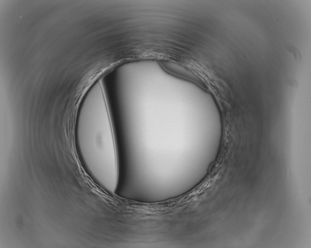 X0000111370241200907101022