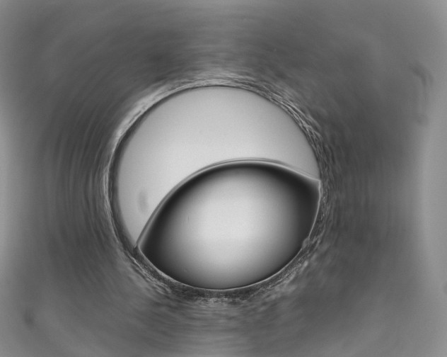 X0000111370244200907101022