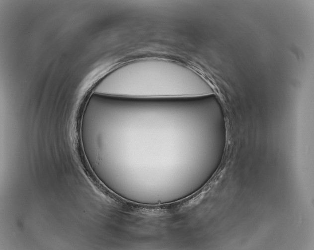 X0000111370245200907101023