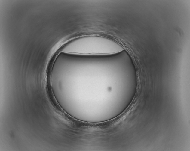 X0000111370246200907101023