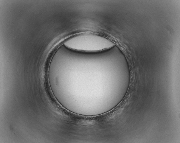 X0000111370247200907101023