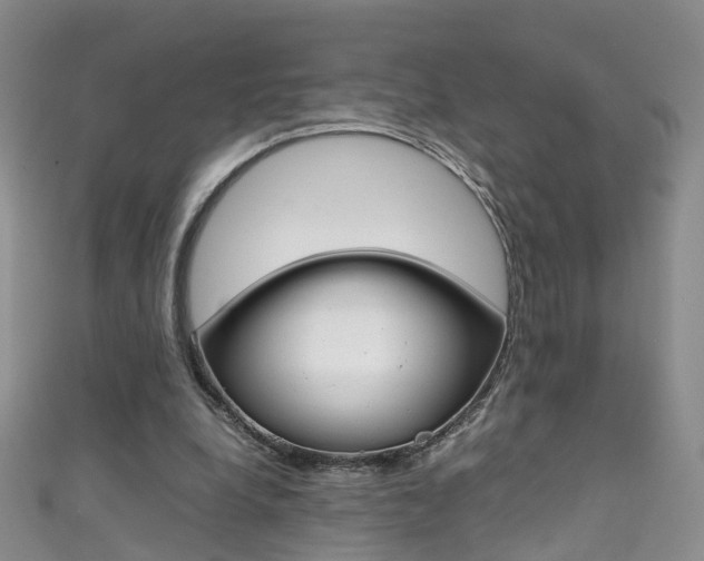 X0000111370248200907101023