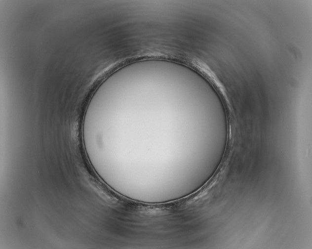 X0000111370249200907101023
