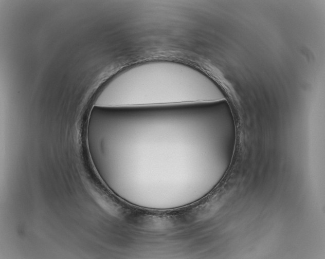 X0000111370250200907101023