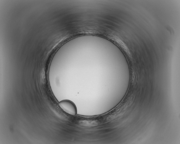 X0000111370251200907101023