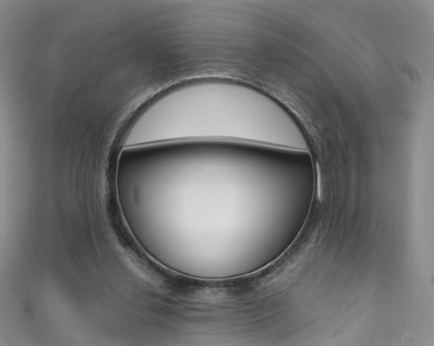 X0000111370252200907101023