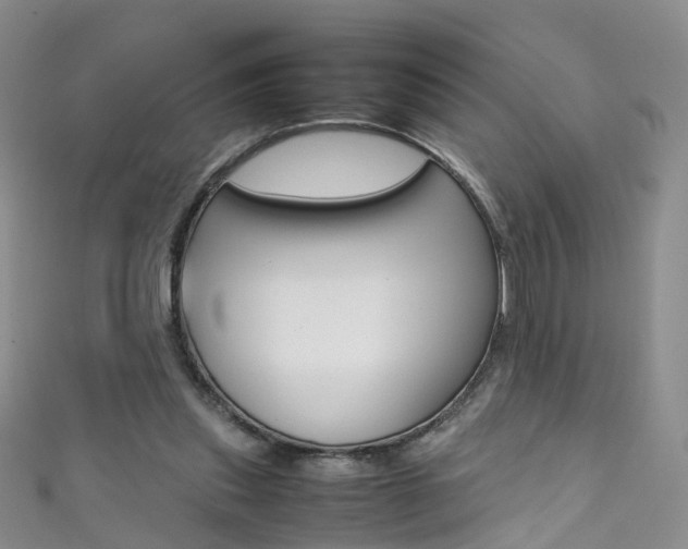 X0000111370253200907101023