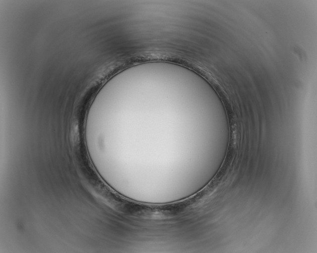 X0000111370254200907101023