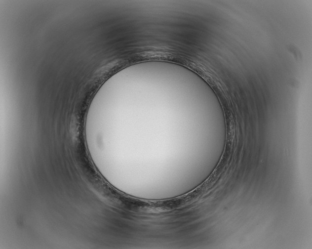 X0000111370255200907101023